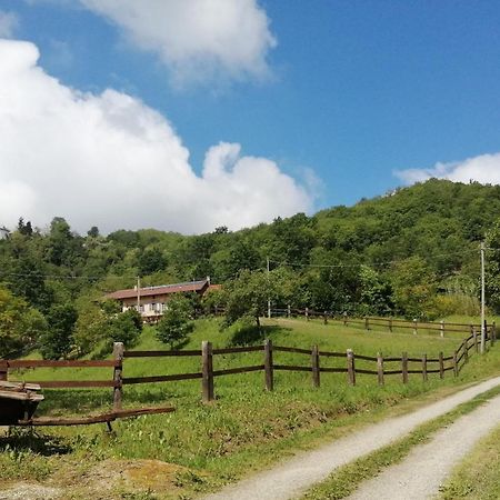 La Casa In Collina Bed & Breakfast Cinzano Exterior foto